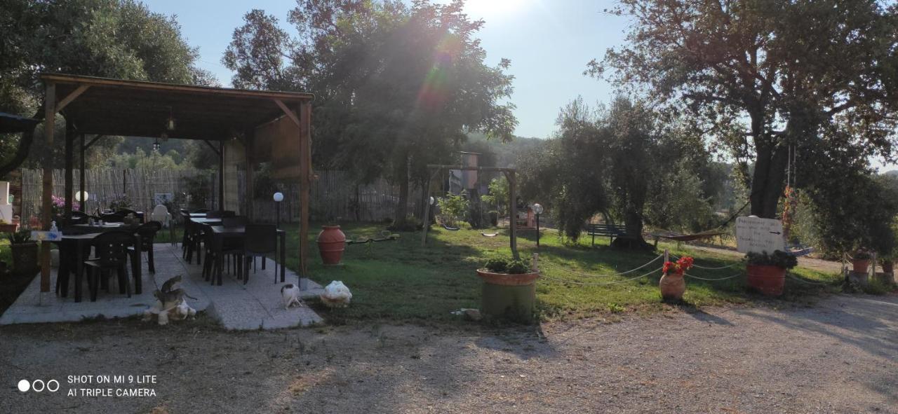 Agriturismo Poggio All'Olivo Follonica Eksteriør bilde