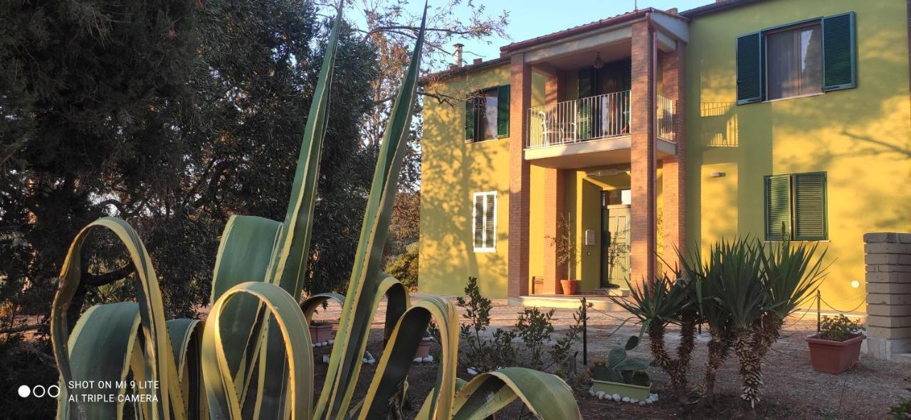 Agriturismo Poggio All'Olivo Follonica Eksteriør bilde