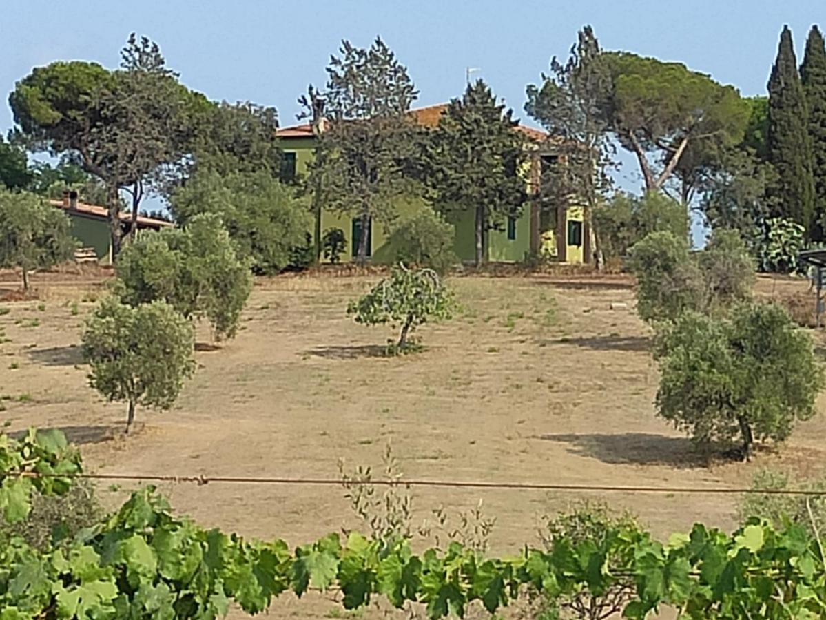 Agriturismo Poggio All'Olivo Follonica Eksteriør bilde