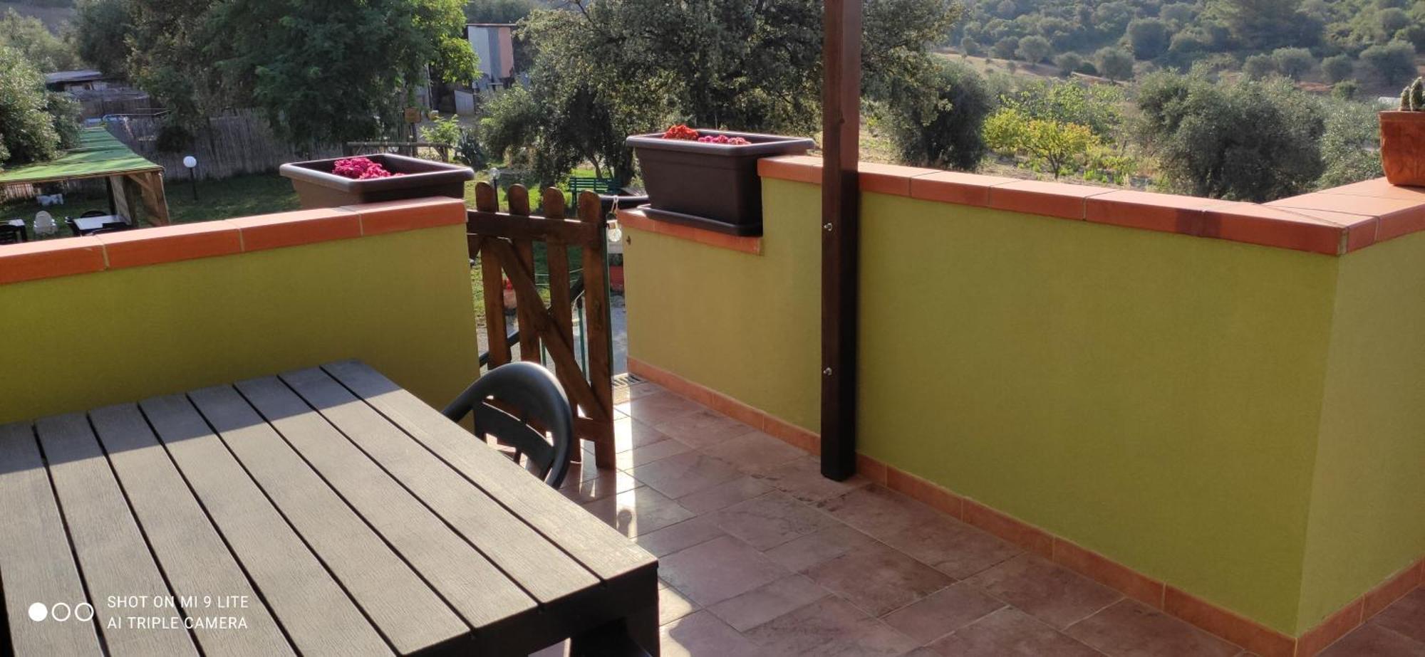 Agriturismo Poggio All'Olivo Follonica Rom bilde