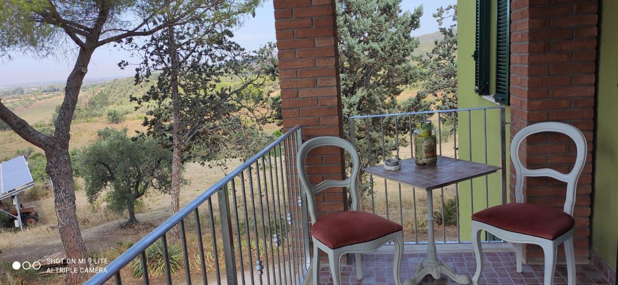 Agriturismo Poggio All'Olivo Follonica Rom bilde
