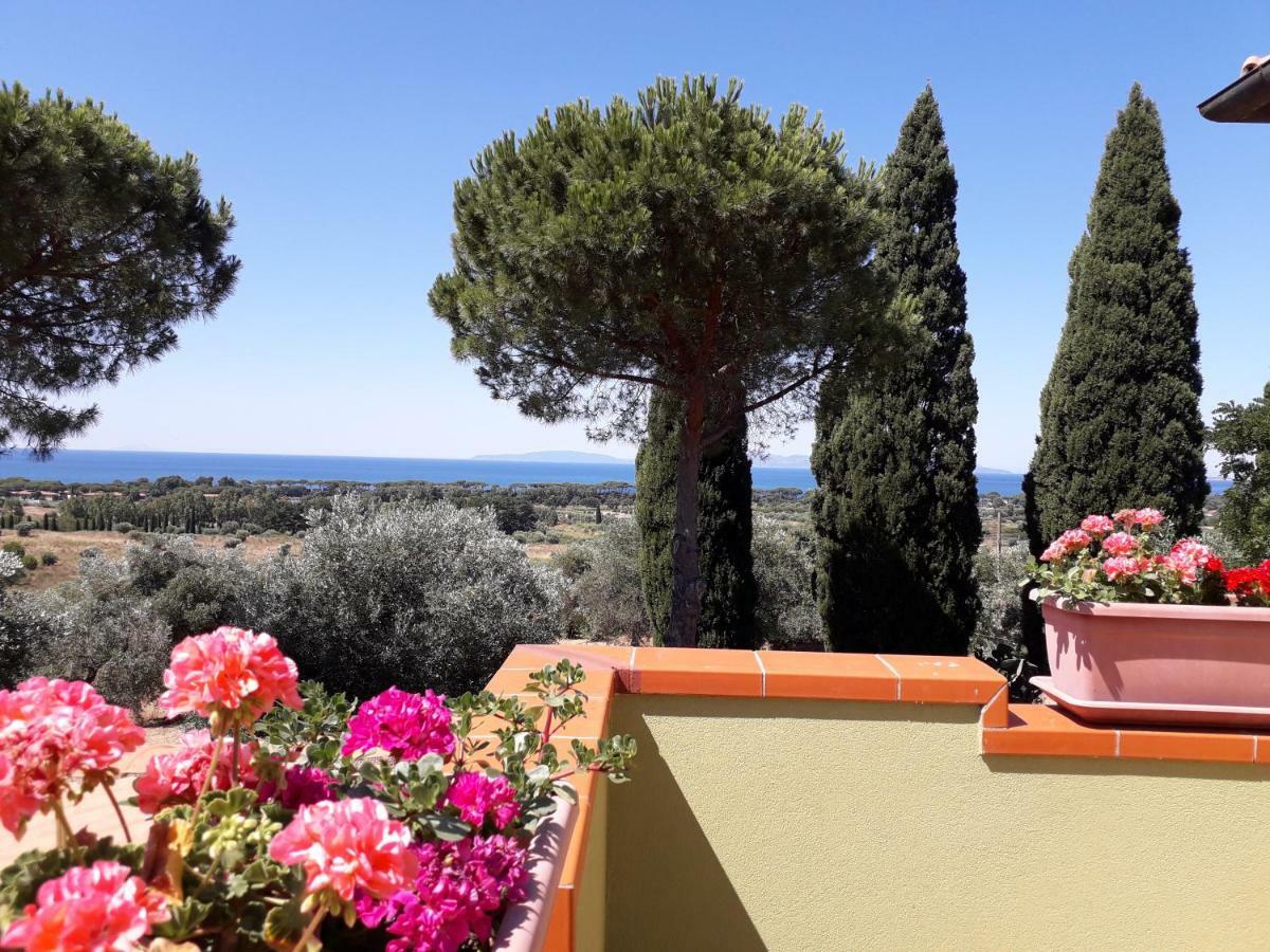 Agriturismo Poggio All'Olivo Follonica Eksteriør bilde