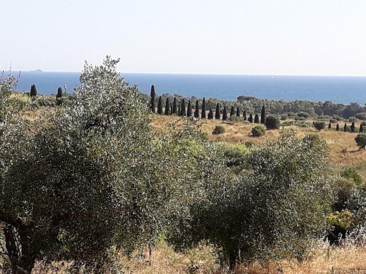 Agriturismo Poggio All'Olivo Follonica Eksteriør bilde